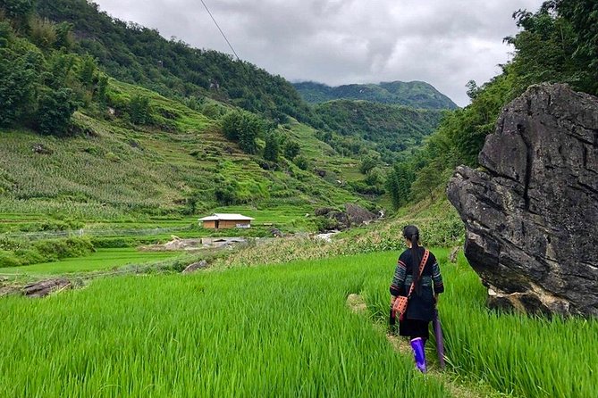 Number one top rated ethical cultural trekking and homestay by ETHOS - A night in a Sapa village home