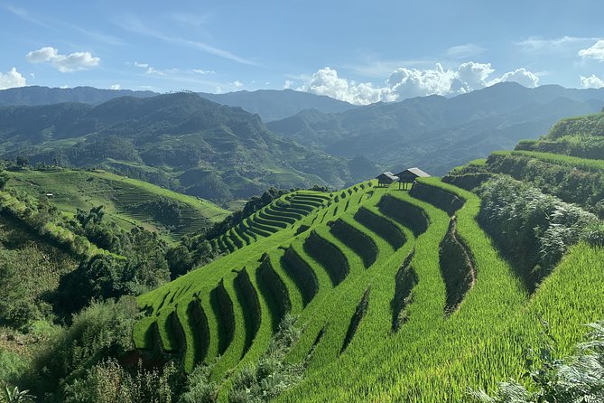 Number one top rated ethical cultural trekking and homestay by ETHOS - Booking details and cancellation advice