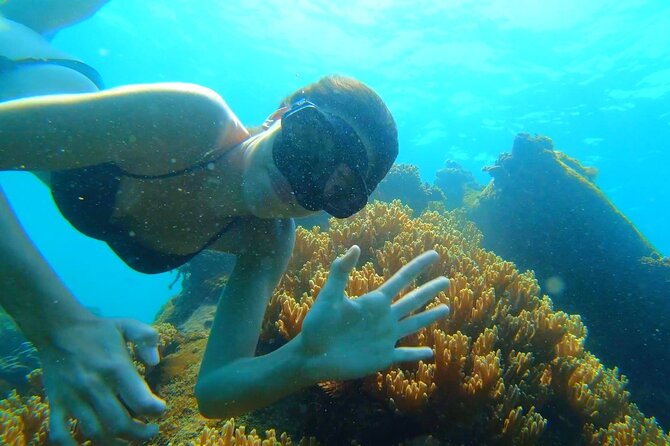 OnBird - PRIVATE ADVENTURE SNORKELING - explore Half-moon reef & Coral Mountain - The $160 price: good value for the right group