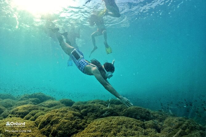 OnBird - PRIVATE ADVENTURE SNORKELING - explore Half-moon reef & Coral Mountain - Half-moon Reef brings the main underwater time