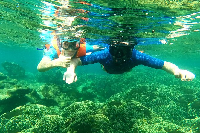 OnBird - Private family KID-FRIENDLY Snorkeling trip by speedboat in Phu Quoc - Why this Phu Quoc snorkeling trip suits families