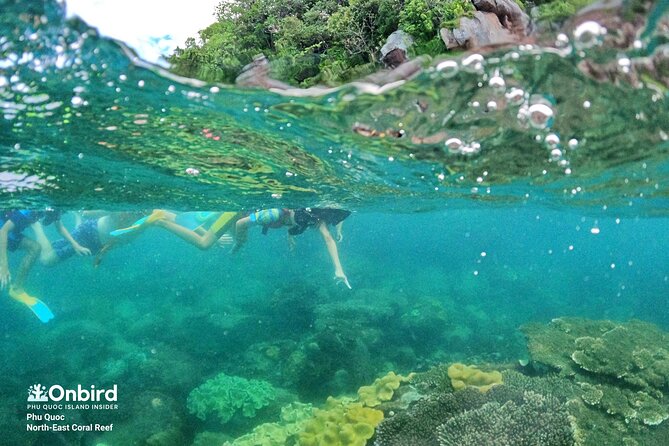 OnBird - Private family KID-FRIENDLY Snorkeling trip by speedboat in Phu Quoc - The practical verdict on OnBird’s private family outing