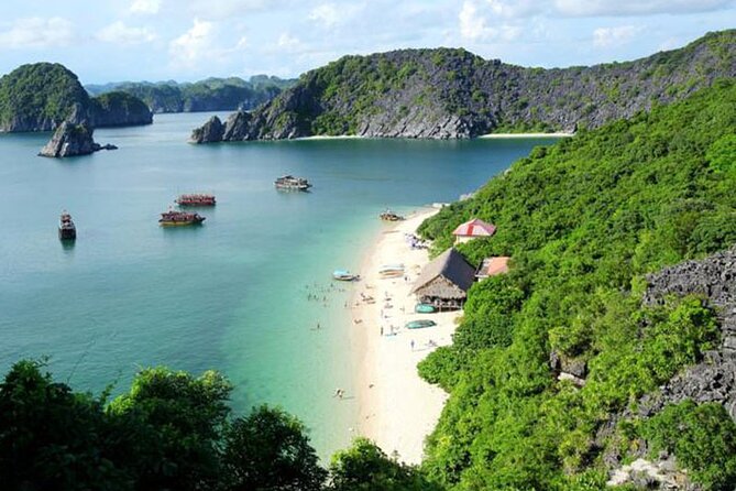 Orchid Cruises Halong Bay 2Day/1Night on 5 Star - An early start for Tai Chi and quiet views