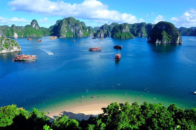 Orchid Cruises Halong Bay 2Day/1Night on 5 Star - Who will enjoy Orchid Cruises most?