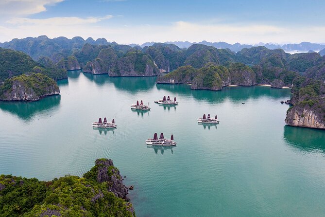 Orchid Trendy Cruises 2Days/1 Night 5 Star Cruises - Service that shapes the experience