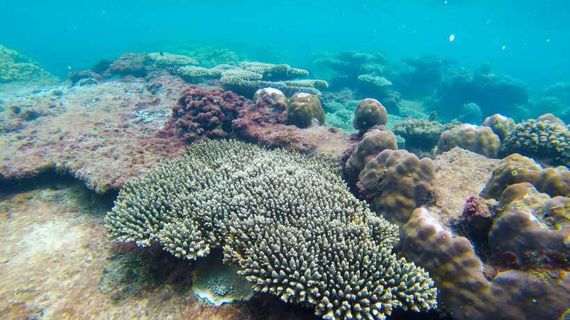 Phu Quoc: 3 Island Tour by Boat with Guide - The boat, group size, and guide quality