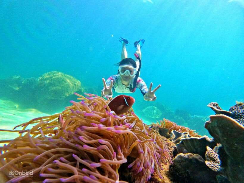 Phu Quoc: Speed Boat Tour 4 Islands - 2 Reefs Snorkeling - Why this small-group boat trip works well