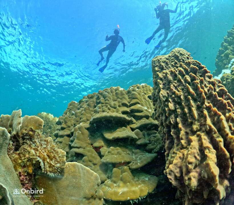 Phu Quoc: Speed Boat Tour 4 Islands - 2 Reefs Snorkeling - Who should book this snorkeling tour