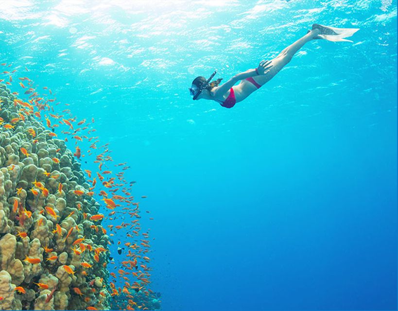 Phu Quoc: Speedboat Tour of 4 Islands with Snorkeling & BBQ - 8:30 pickup and the run to the harbor