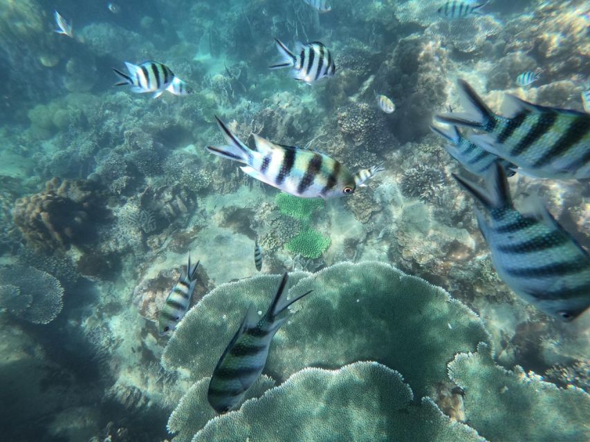 Phu Quoc: Speedboat Tour of 4 Islands with Snorkeling & BBQ - Fingernail Island, fruit, and a slower pause