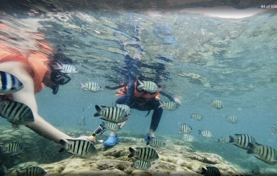 Phu Quoc: Speedboat Tour of 4 Islands with Snorkeling & BBQ - The mainland seafood BBQ at about 2 p.m.
