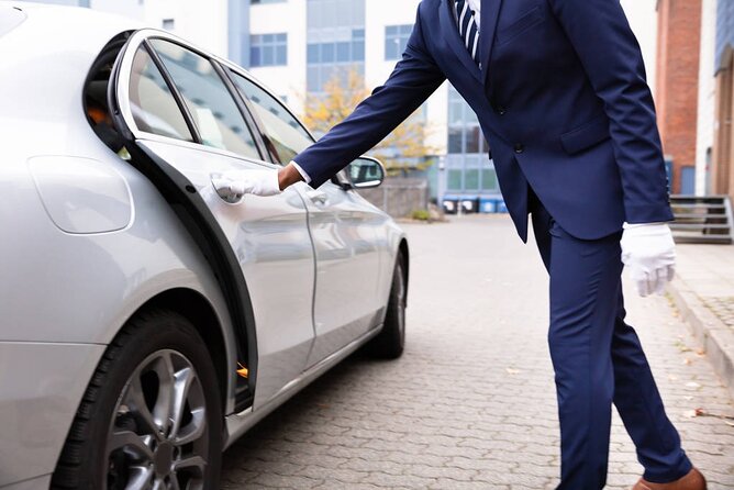Private Arrival Transfer: Tan Son Nhat Airport to Ho Chi Minh City Hotels - Practical steps for a smoother pickup