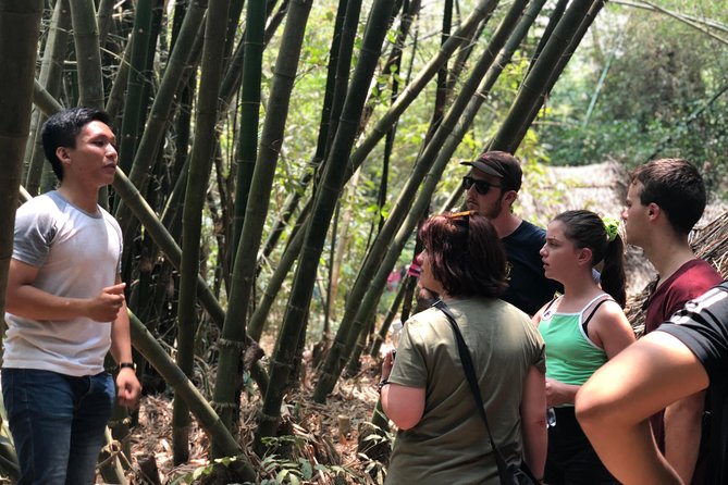 Private Cu Chi Tunnels Tour - Explore History & Off-the-path Local Sites - Why a private Cu Chi Tunnels tour can be worth it