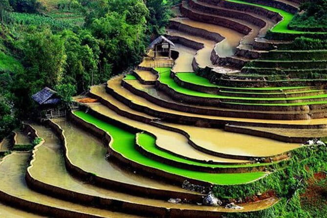 Private Full-Day Tour to Halong Bay from Hanoi - Luon Cave by kayak or bamboo boat