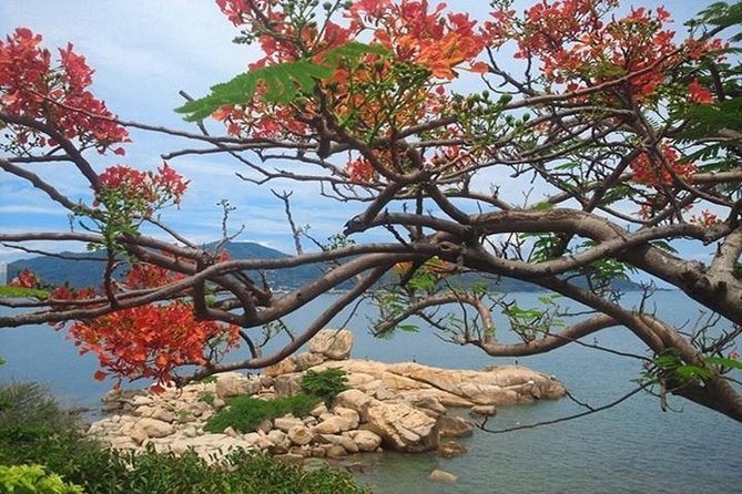 Private tour: Nha Trang Half day city tour &Lunch with PHỞ - Mountain Church and Nha Trang’s French imprint