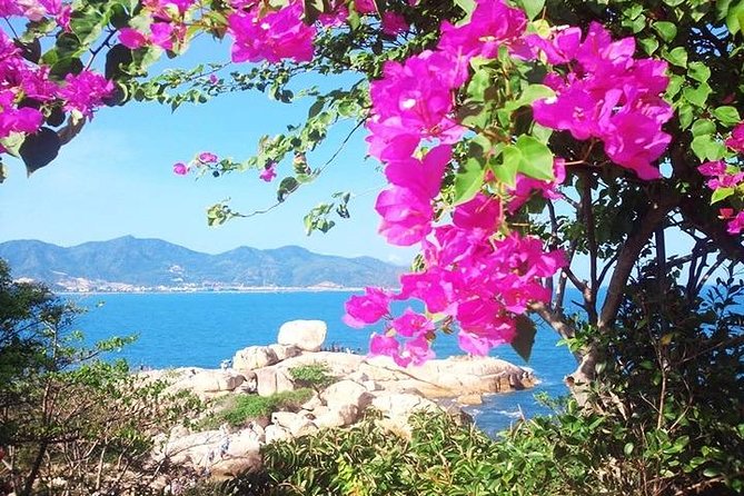Private tour: Nha Trang Half day city tour &Lunch with PHỞ - Long Son Pagoda and the climb to the Buddha
