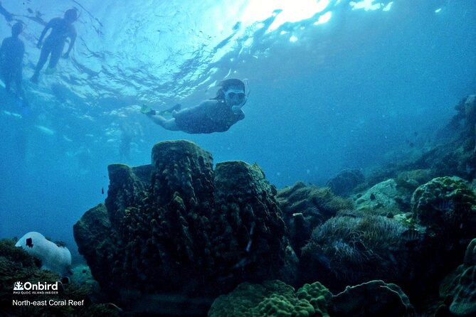 PRO-SNORKELING to Explore Hidden Coral Reefs (MAX 10 PAX) - Speedboat views and a simple beach break