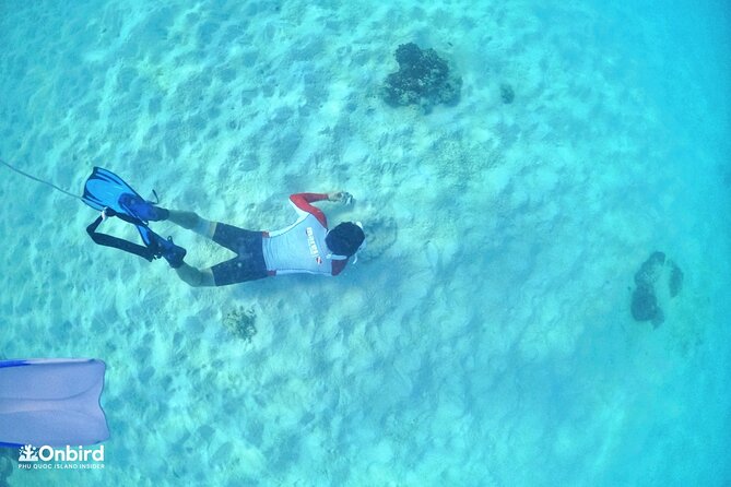 PRO-SNORKELING to Explore Hidden Coral Reefs (MAX 12 PAX) - What the reef stops are likely to feel like
