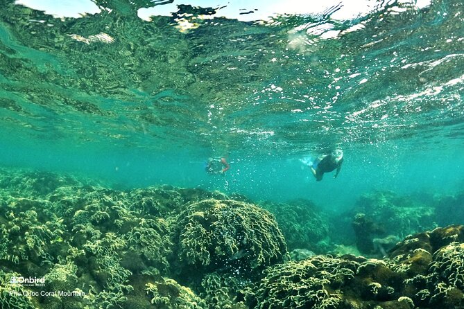 PRO-SNORKELING to Explore Hidden Coral Reefs (MAX 12 PAX) - The fourth stop: fruit, drinks, and a quieter island break