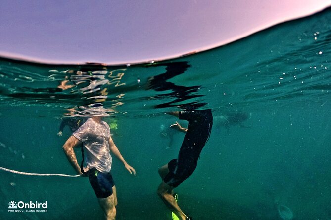 PRO-SNORKELING to Explore Hidden Coral Reefs (MAX 12 PAX) - Equipment, safety, and comfort in practical terms