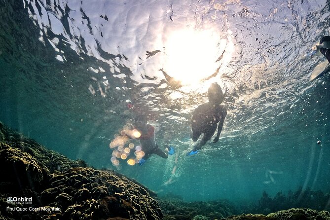 PRO-SNORKELING to Explore Hidden Coral Reefs (MAX 12 PAX) - The $53.90 price and what it covers