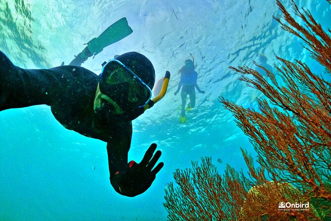 PRO-SNORKELING to Explore The Coral Jungle REEF (MAX 10 PAX) - Key points at a glance