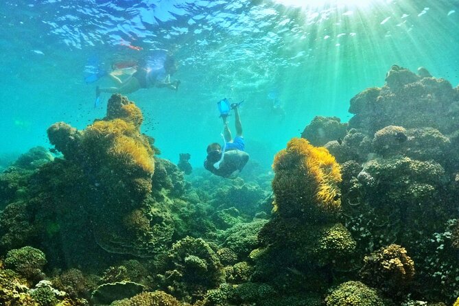PRO-SNORKELING to Explore The Coral Jungle REEF (MAX 10 PAX) - Safety help for non-swimmers and cautious swimmers