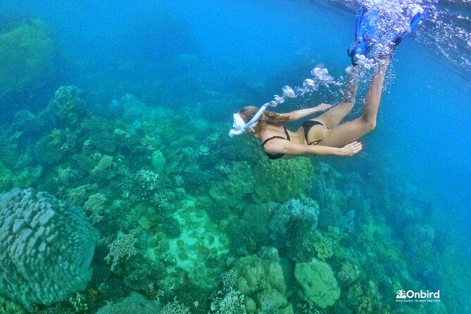 PRO-SNORKELING to Explore The Coral Jungle REEF (MAX 10 PAX) - The ride north and what it adds to the day