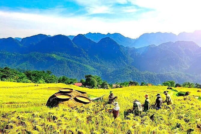 Pu Luong 2 Days Trekking & Village Experience with local Family - Day one: rice terraces, village paths, and a local welcome