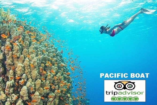 REAL snorkel &island hopping by SPEEDBOAT-EXPLORE CUISINES(MAX12) - Lunch is Vietnamese food, not a beach barbecue