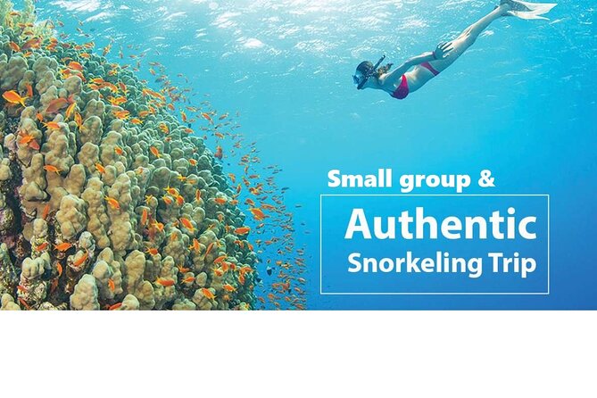 REAL snorkel &island hopping by SPEEDBOAT-EXPLORE CUISINES(MAX12) - From your hotel to An Thoi port
