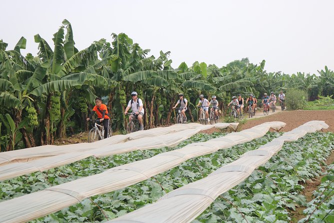 Red River island backroad, Rural Countyside Area and Train Street - Starting at the Old Quarter and choosing your bicycle