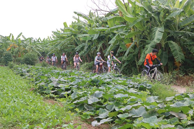 Red River island backroad, Rural Countyside Area and Train Street - Ending at Hanoi’s Train Street