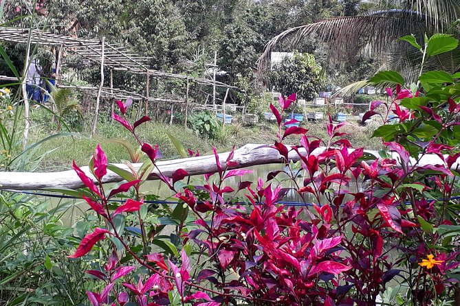 RED RIVER TOUR (Private Tour): LAND ISLAND TOUR AROUND THE SOUTH - Pearl Farming and the Work Behind a Famous Souvenir