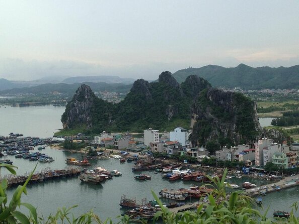 Renea Cruises - BEST Small Boat in Bai Tu Long & Halong Bay - Key points at a glance