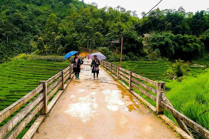 Rice Terraced Fields & Homestay Experience– 2D 1N - What the guides add to the walk