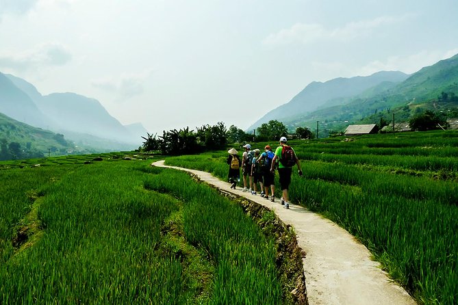 Rice Terraced Fields & Homestay Experience– 2D 1N - Rice terraces and bamboo forest on the main walk