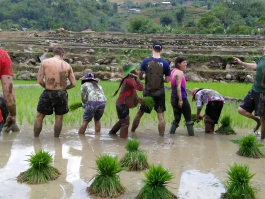 Sa Pa: 2-Day Trekking Trip with Ethnic Minority Homestay - What the $55 price includes