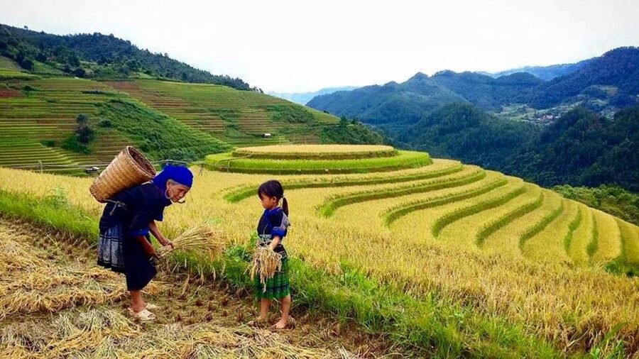 Sa Pa: 6-Hours Muong Hoa Valley Trek with Local Ethnic guide - Why this Muong Hoa Valley trek is worth your time
