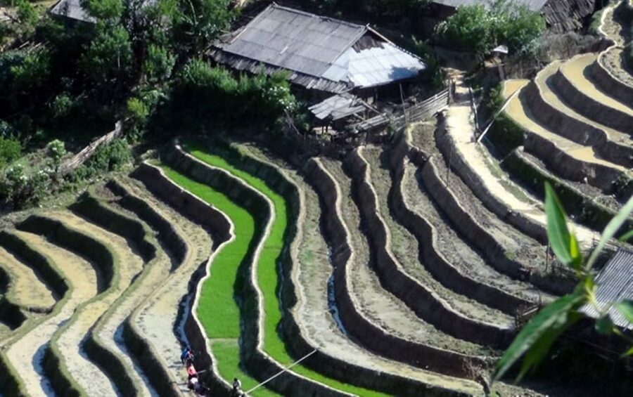 Sa Pa: 6-Hours Muong Hoa Valley Trek with Local Ethnic guide - Lunch at a local restaurant