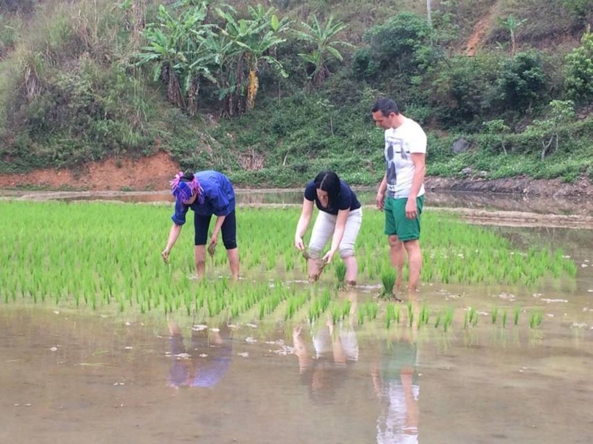 Sa Pa: 6-Hours Muong Hoa Valley Trek with Local Ethnic guide - From Sa Pa to Y Linh Ho village