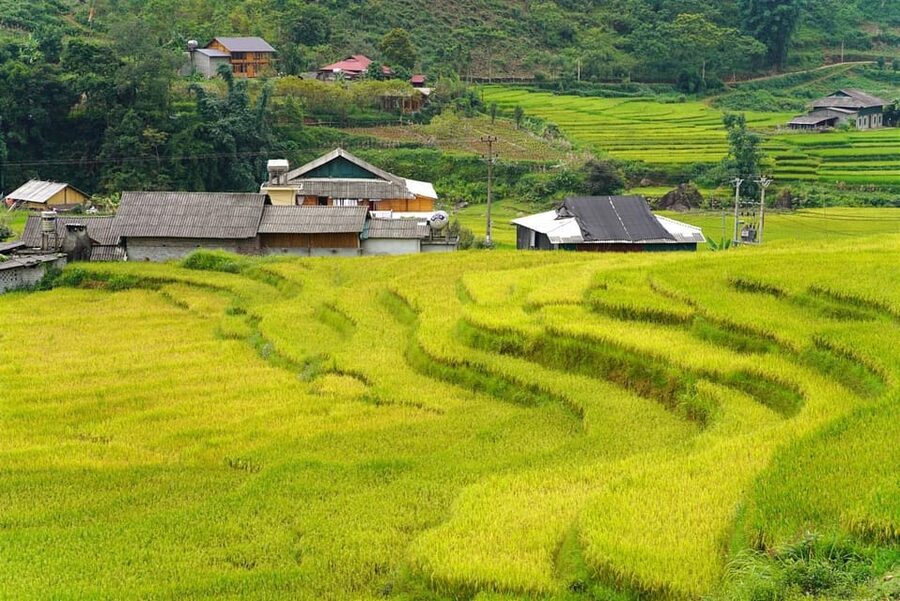 Sa Pa: Half-Day Cat Cat Village Hike to Meet H'mong People - Key points to know before booking