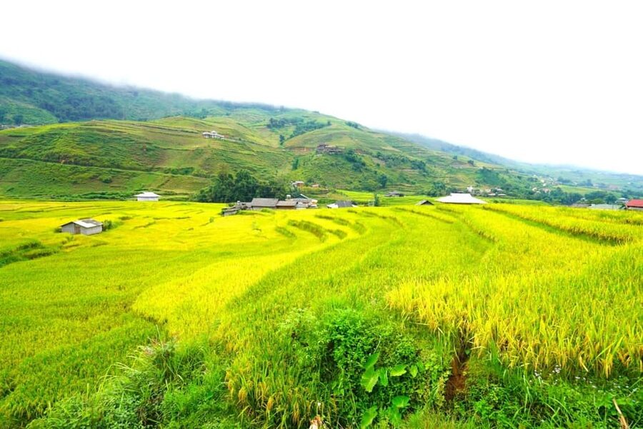 Sa Pa: Half-Day Cat Cat Village Hike to Meet H'mong People - What to bring for the 2.5-kilometer route