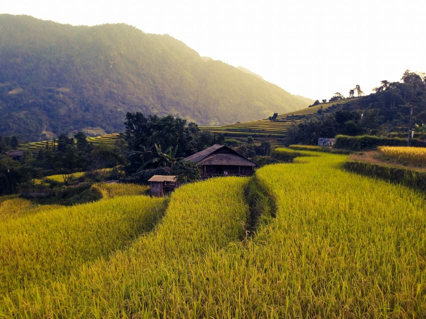 Sa Pa: Muong Hoa Valley Trek and Local Ethnic Villages - Who Should Book This Sa Pa Trek?