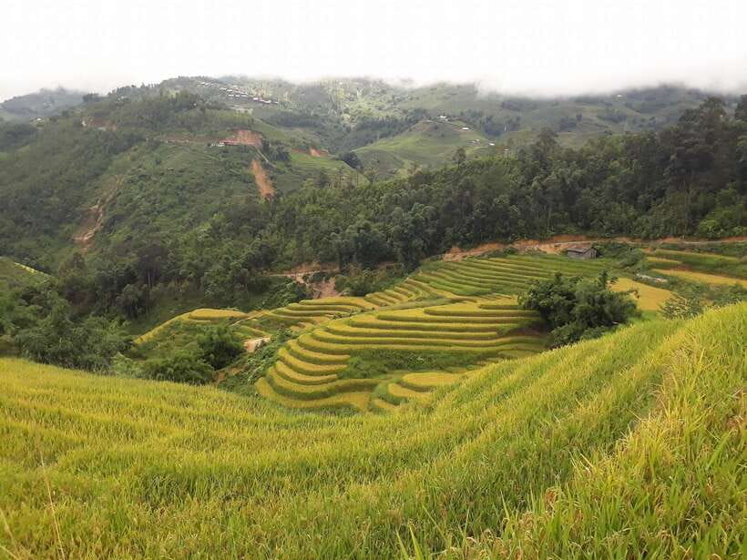 Sa Pa: Muong Hoa Valley Trek and Local Ethnic Villages - Morning Mist Above the Muong Hoa River