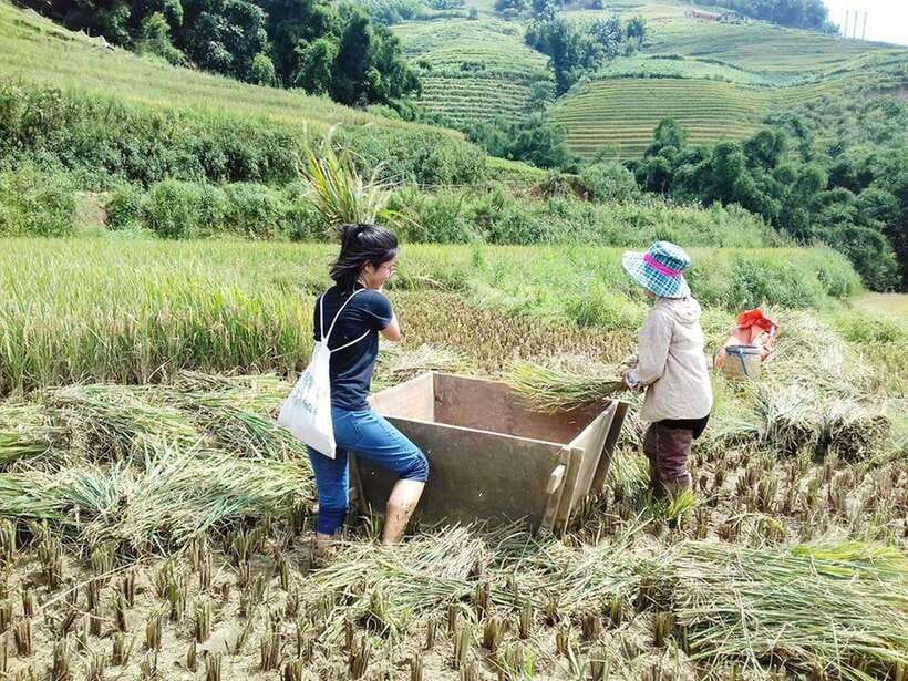 Sa Pa: Muong Hoa Valley Trek and Local Ethnic Villages - Ta Van Giay and the Stone Carvings