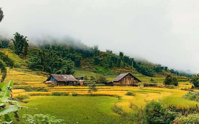 Sa Pa: Muong Hoa Valley Trek and Local Ethnic Villages - Guide Quality and Group Support
