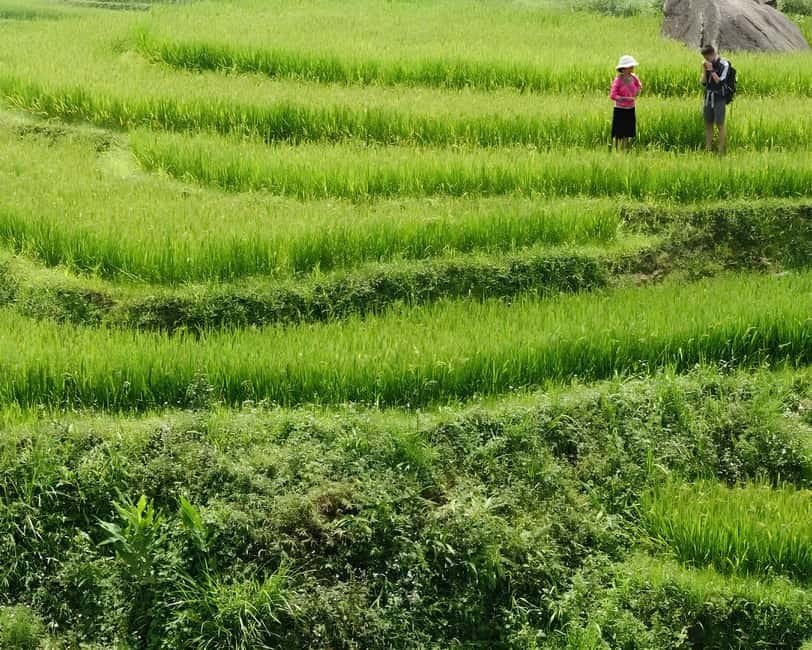 Sapa 1 Day Long Trek: Trek to Hau Thao and Sa Seng Villages - Who should choose this Sapa trek