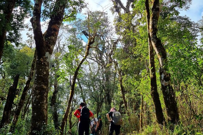 Sapa 1 day trek with local guide to the village by Comlam - Bamboo forest, waterfalls, and changing trail conditions