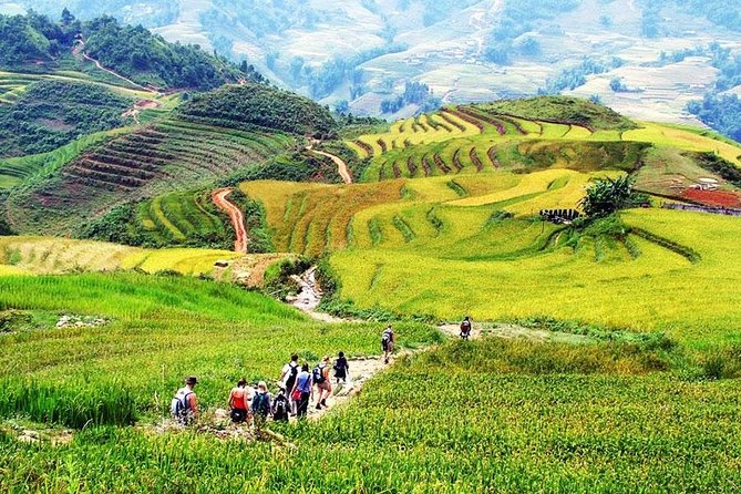 Sapa 2 Days 1 Night From Hanoi - Overnight in Ta Van Village - Arriving in Sapa and meeting the local guide